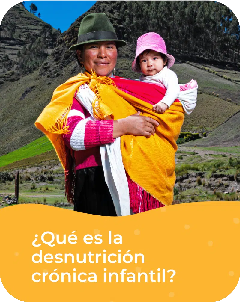 ¿Qué es la desnutrición crónica infantil? ¿Qué es la desnutrición crónica infantil?