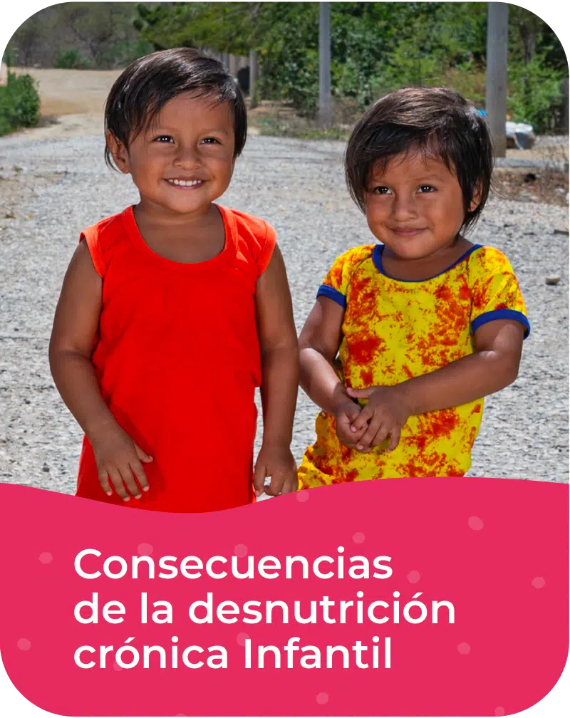 Consecuencias de la desnutrición crónica infantil Consecuencias de la desnutrición crónica infantil