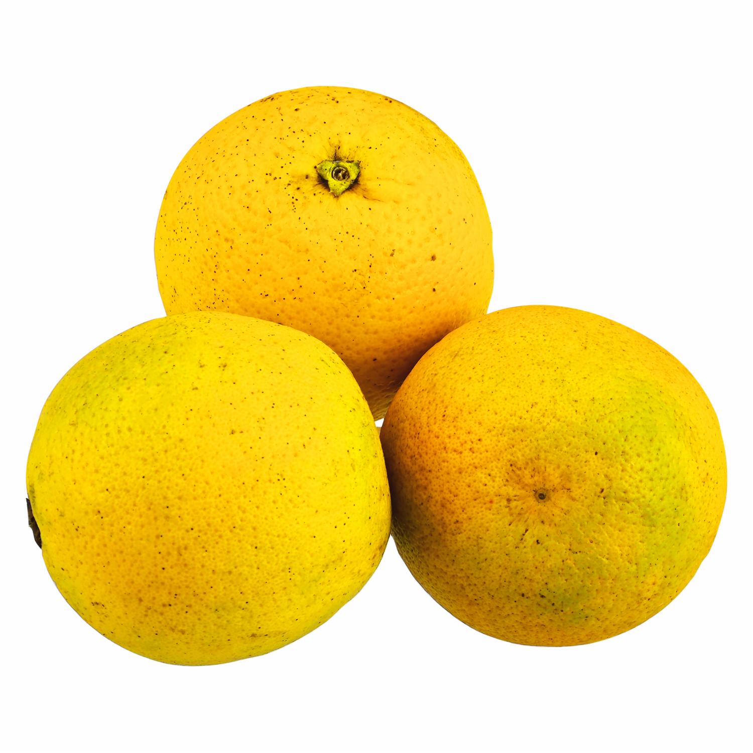 Naranja Fresca CF GRANEL Al Peso