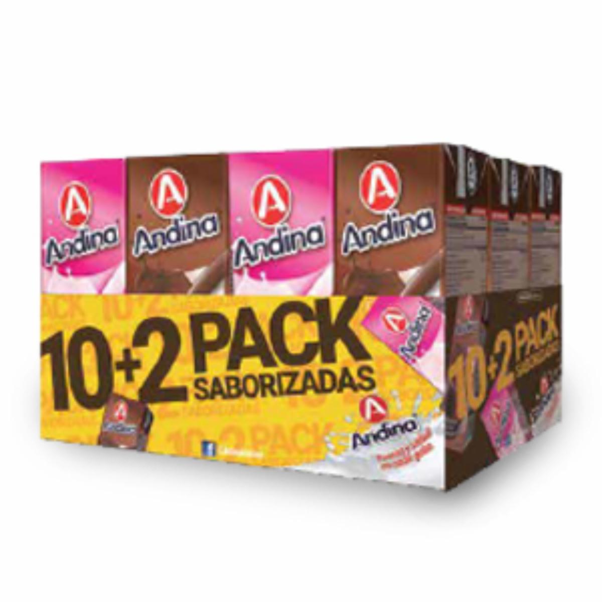 Leche Saborizada Sabores Surtidos ANDINA 12×200 Ml