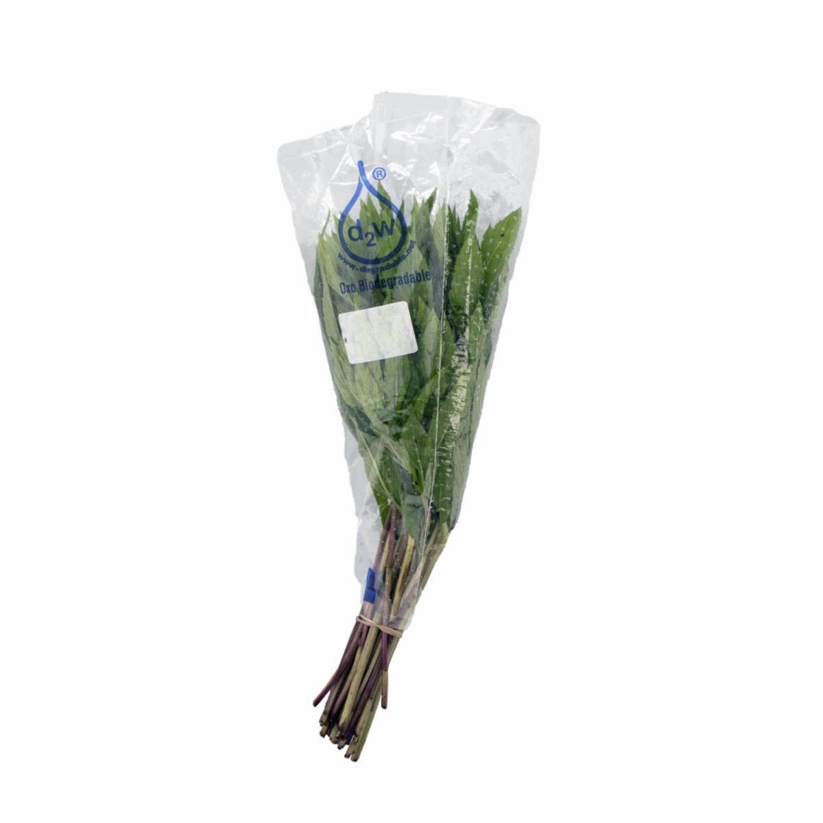 Hierba Buena Fresca CF 100 G