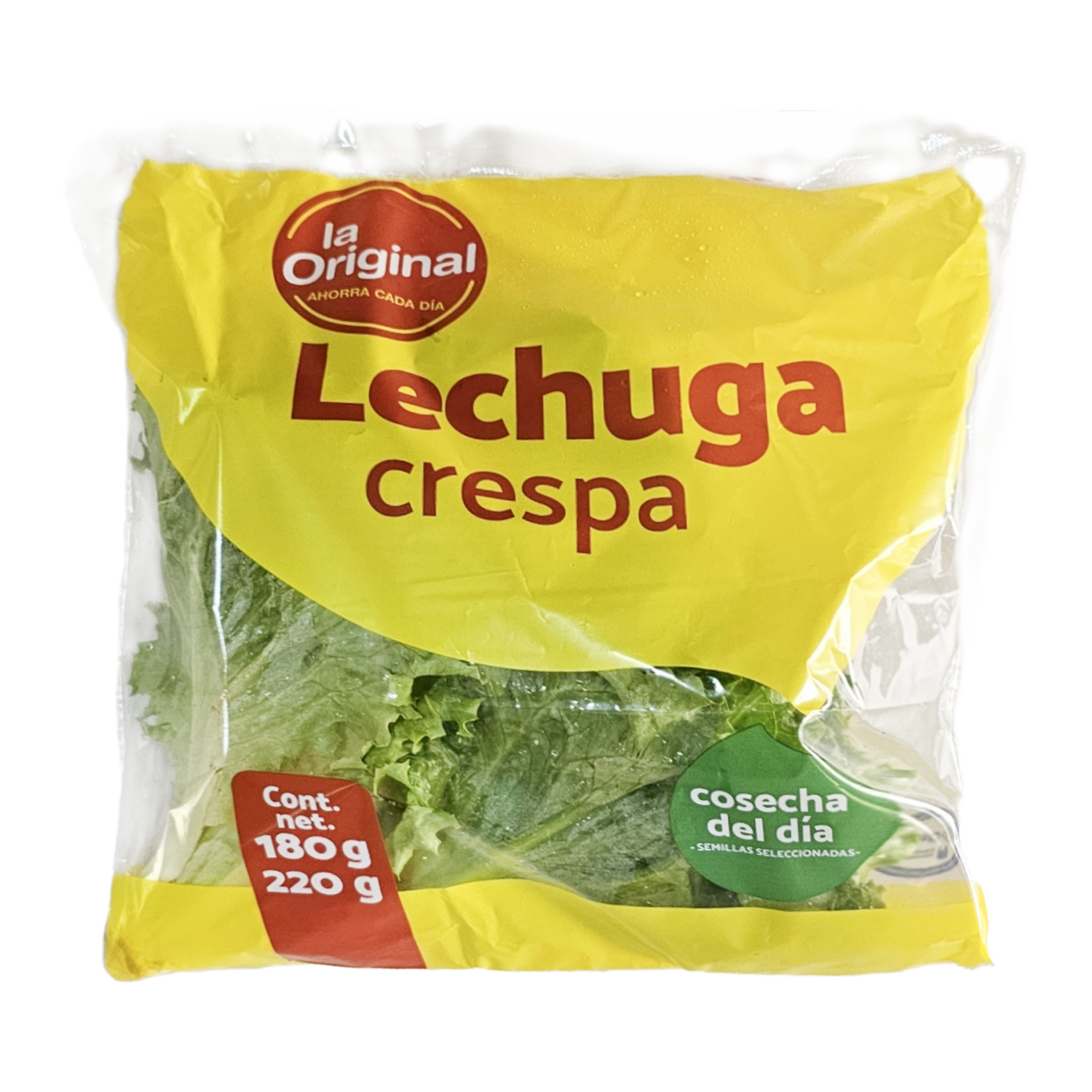 Lechuga Crespa LA ORIGINAL 180 – 220 G