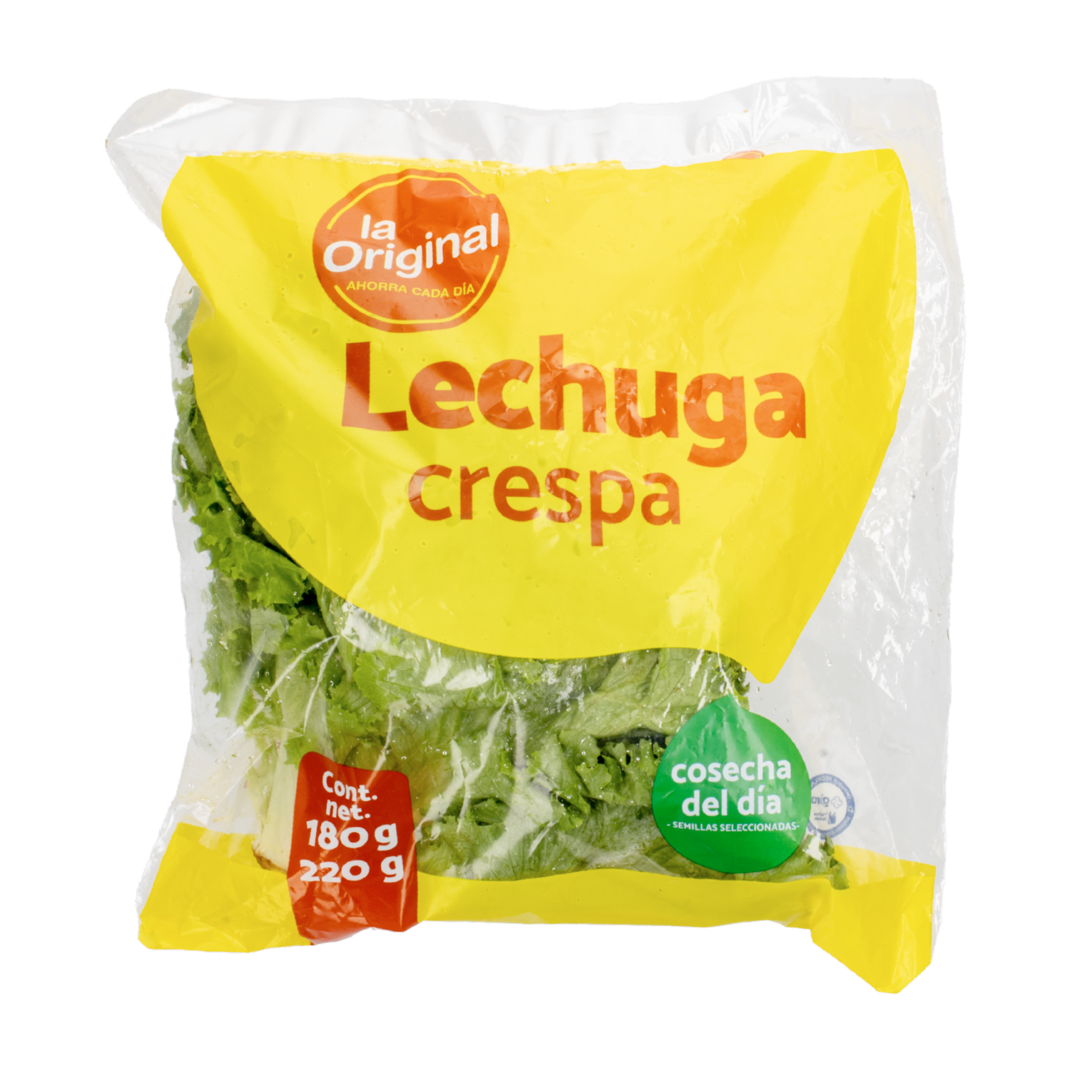 Lechuga Crespa LA ORIGINAL 180 – 220 G
