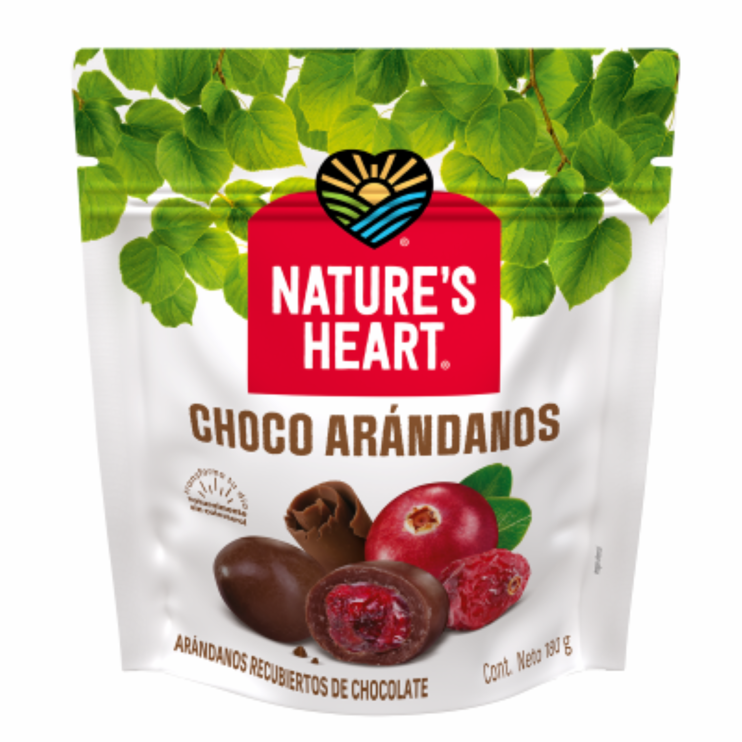 Frutos Secos Choco Arándanos NATURE´S HEART 180 G