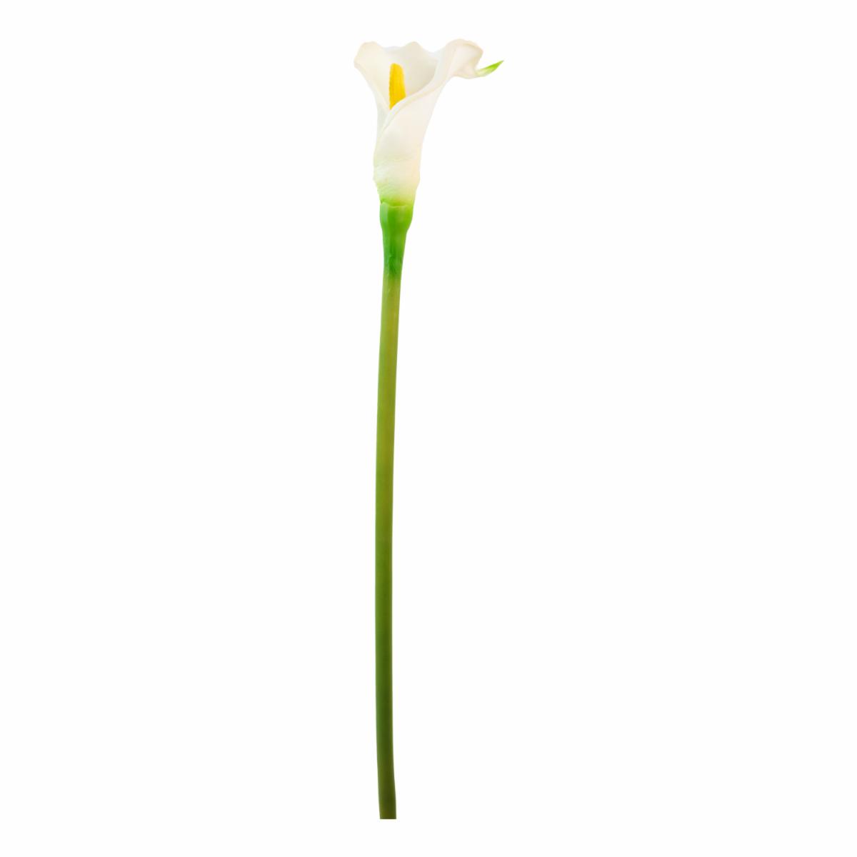 Cartucho Blanco FREE HOME Blanco
