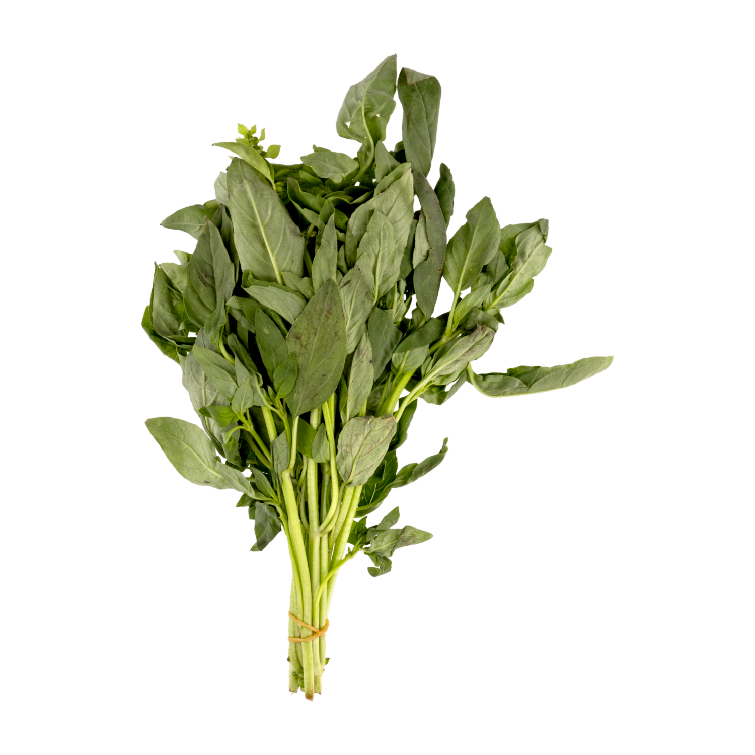 Albahaca Fresca CF GRANEL 70 G