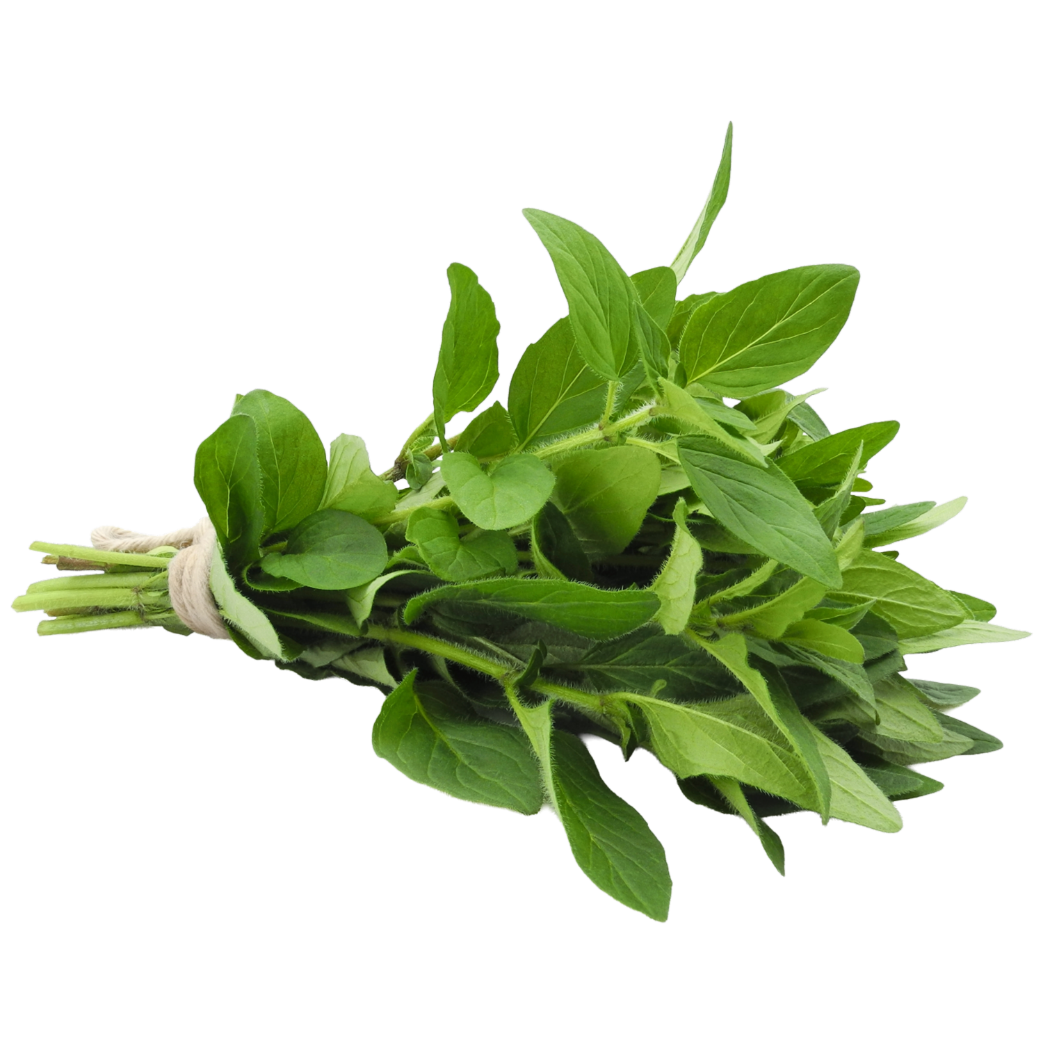 Orégano Fresco CF GRANEL 75g