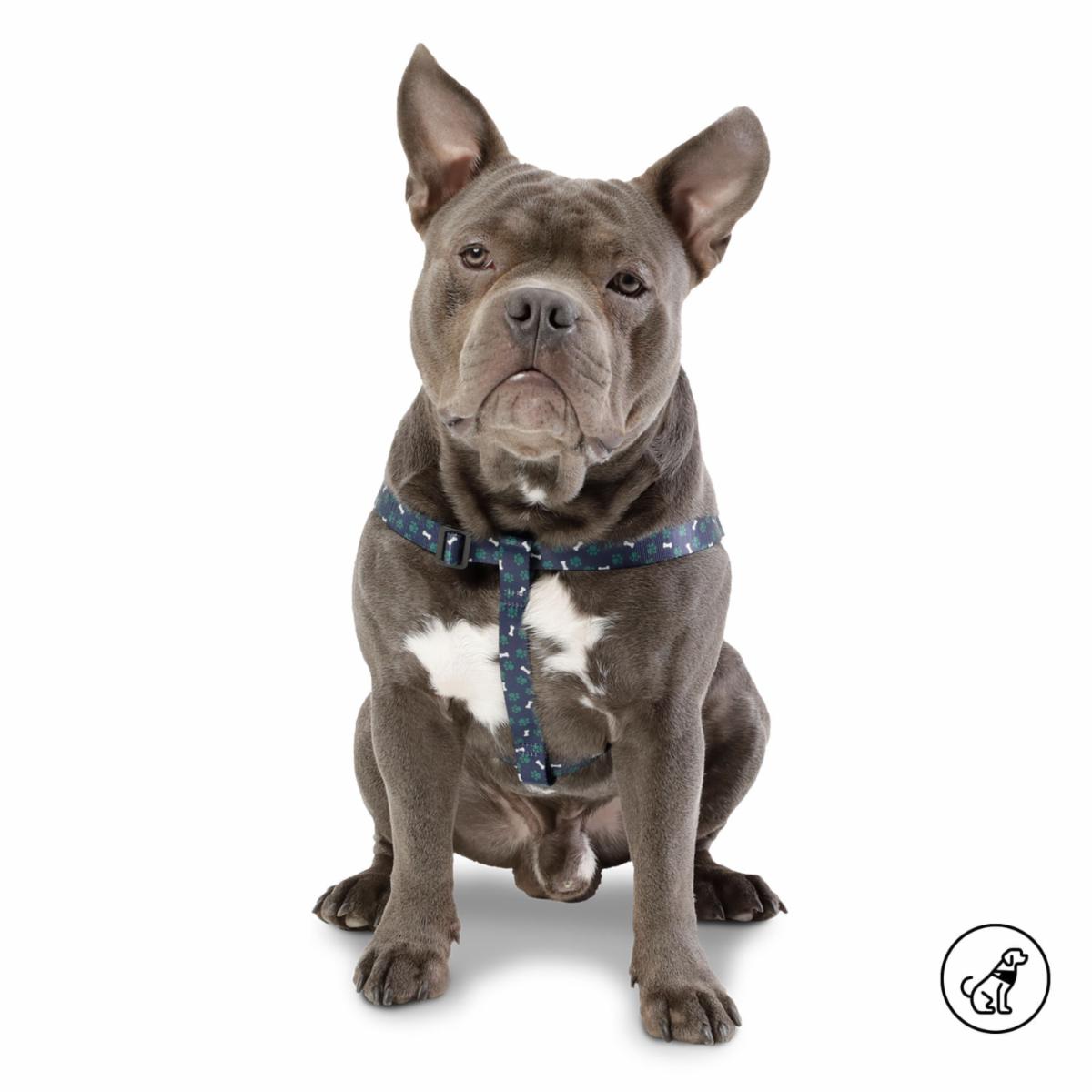 Arnés Para Perro Bruno De Caminata TOTTO PET´S Talla Mediano