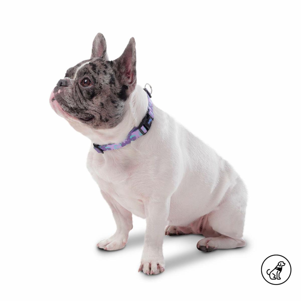 Collar De Mascota Ajustable Mylu TOTTO PET´S Talla Pequeño
