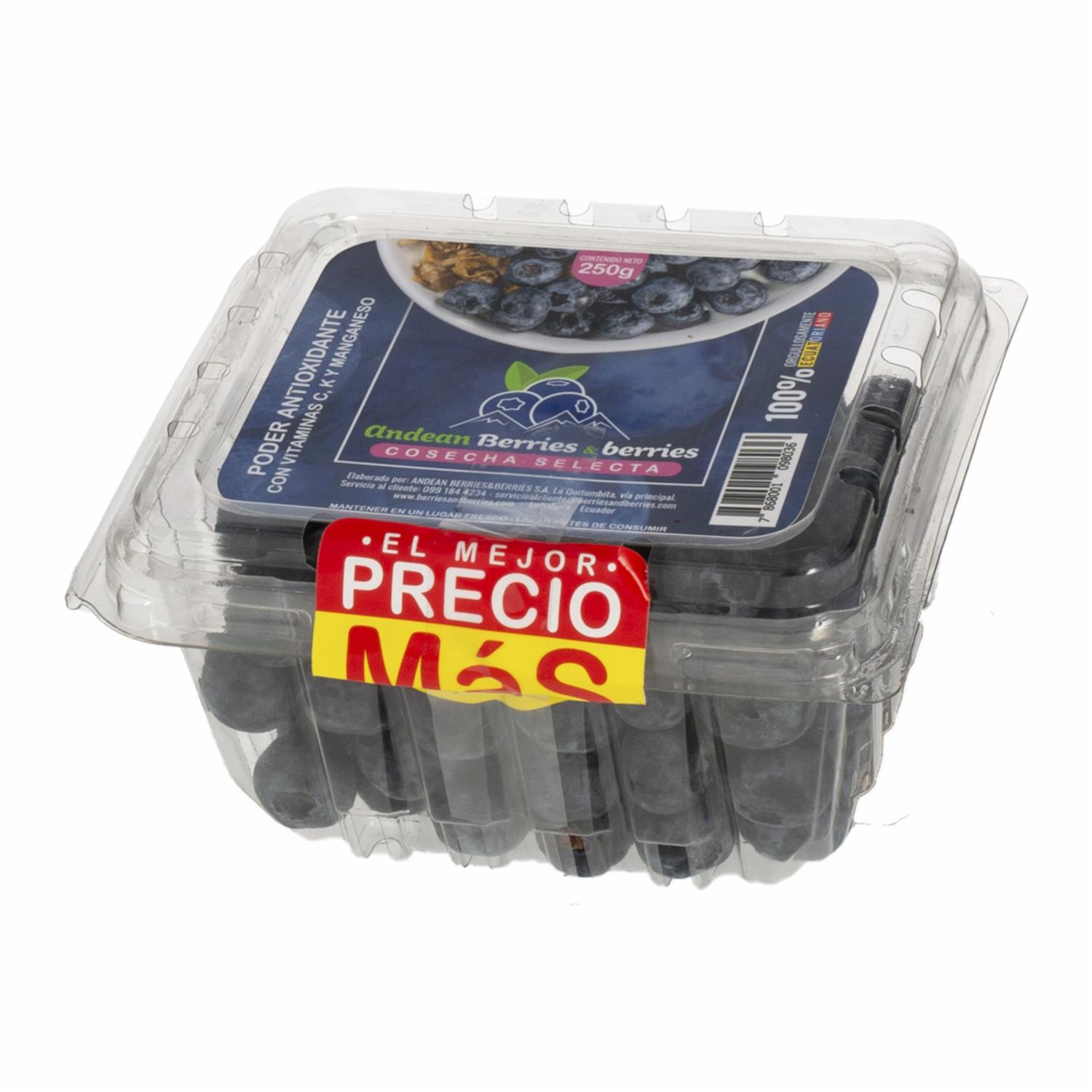 Arándanos Berries & Berries ANDEAN 250 G