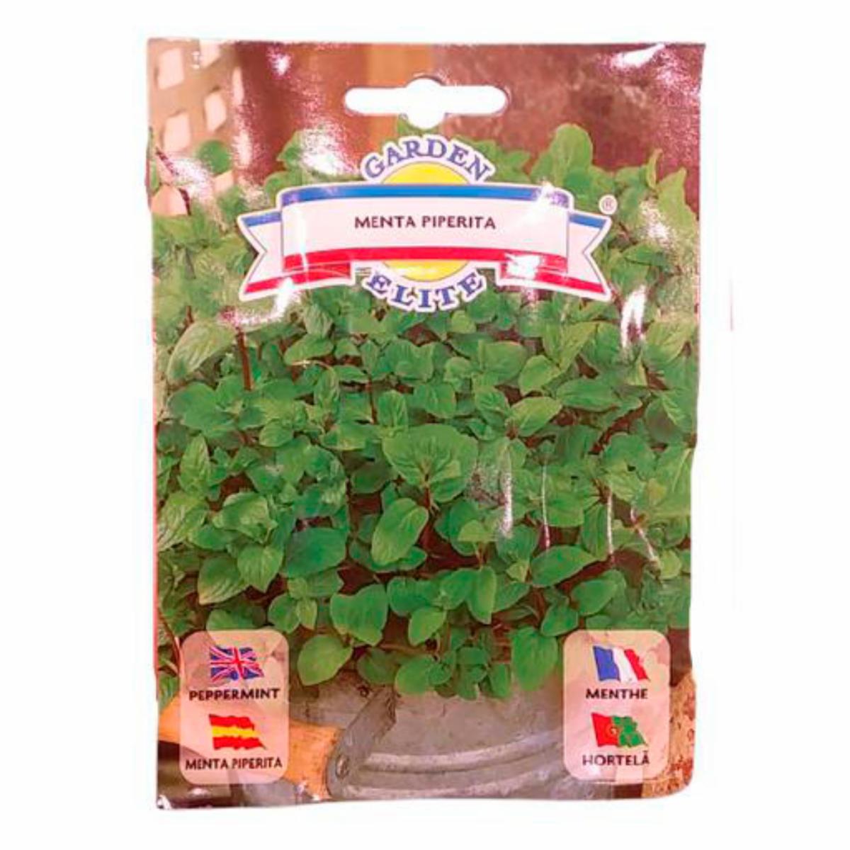 Semillas De Menta GALASSI SEMENTI 0,15 g