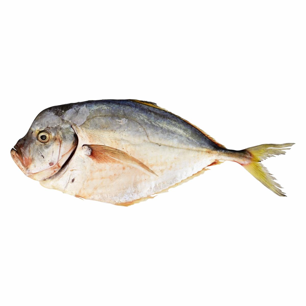 Carita Entero Entero BAJO EL MAR Al Peso