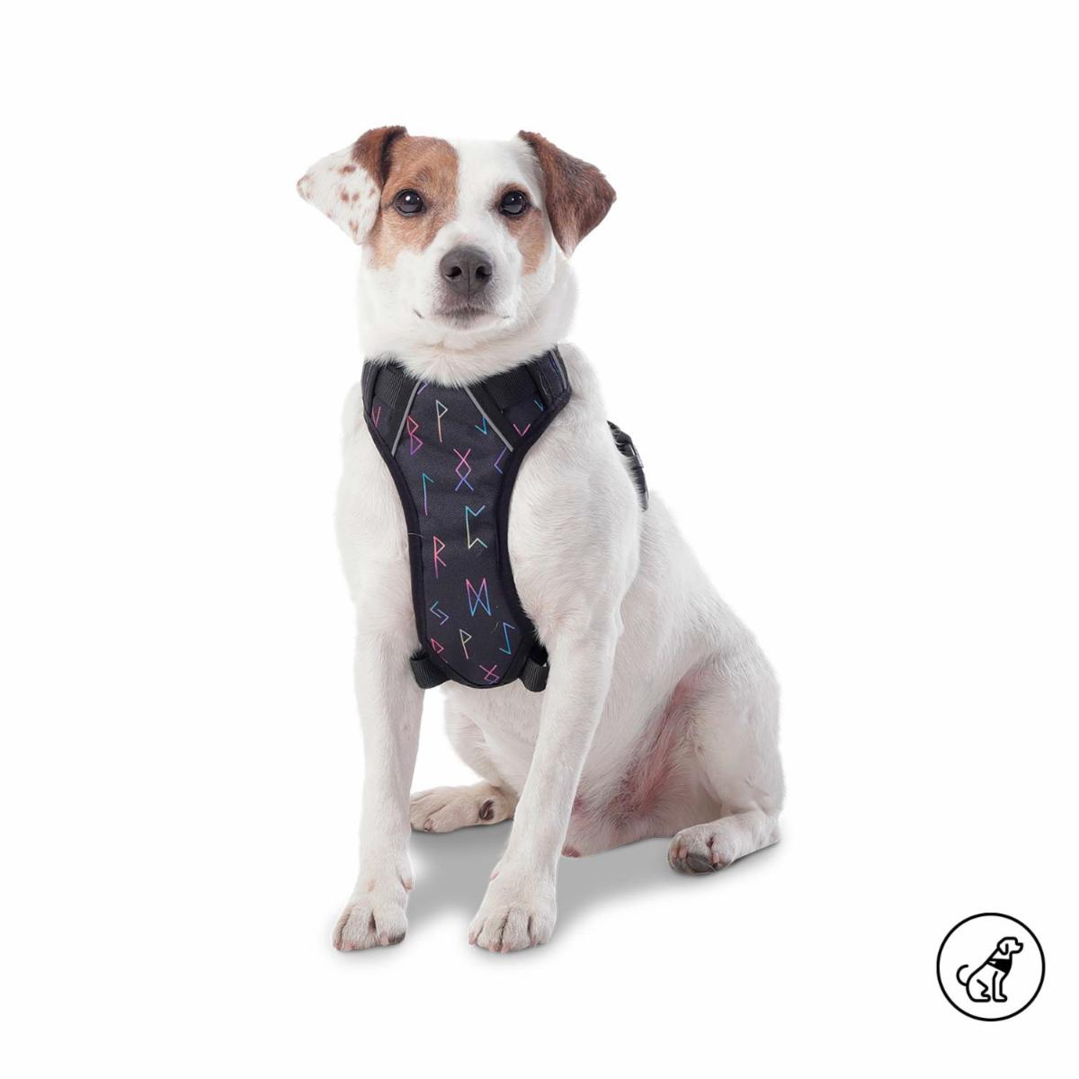 Arnés Para Perro Pechera De Caminata Heikul TOTTO PET´S Talla Pequeño