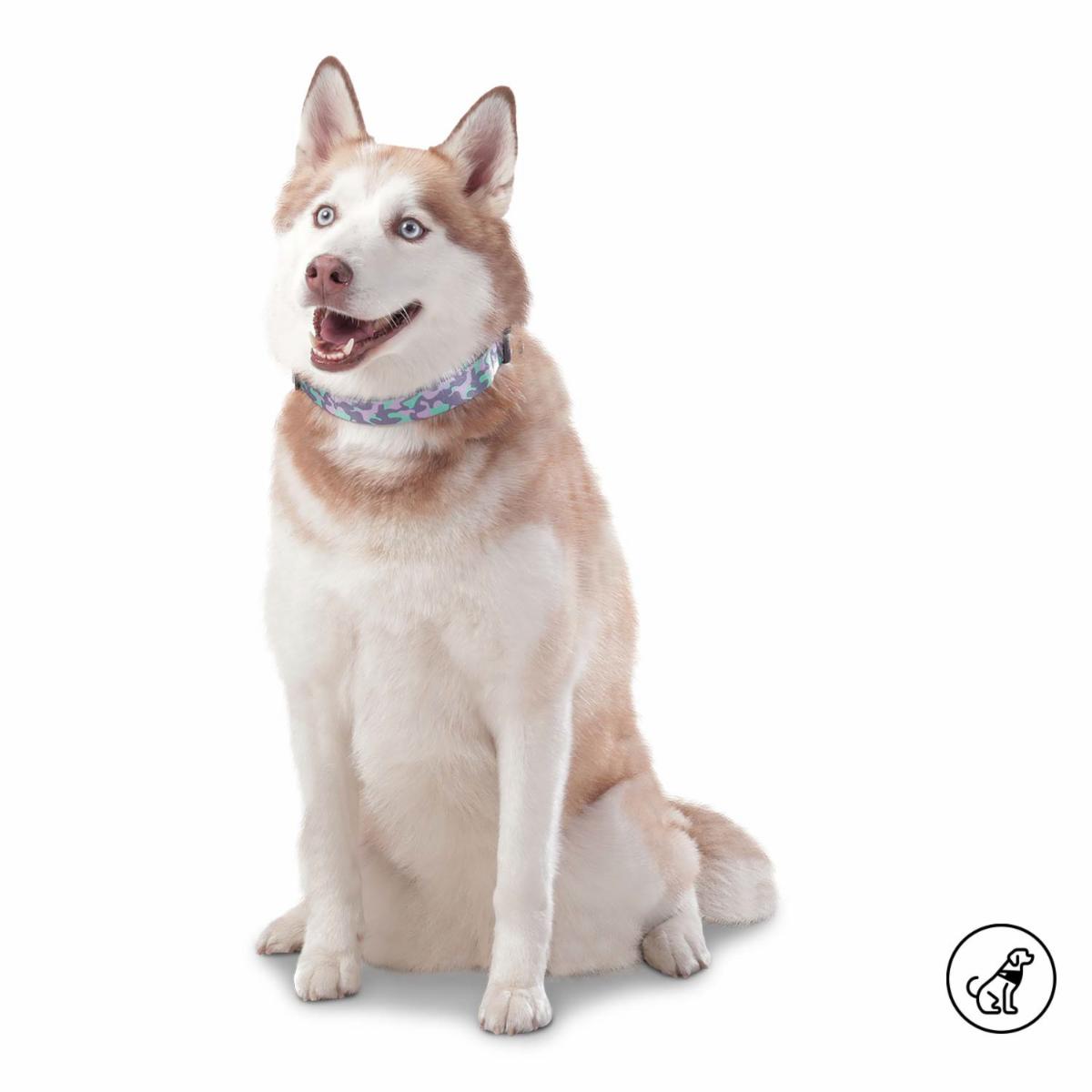 Collar De Mascota Ajustable Mylu TOTTO PET´S Talla Grande