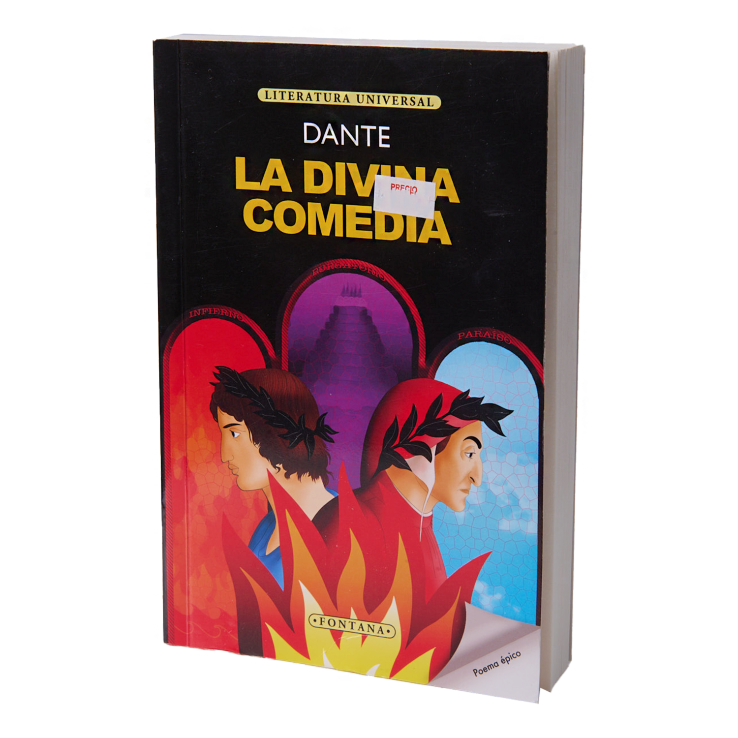 Libro La Divina Comedia FONTANA 349 Páginas