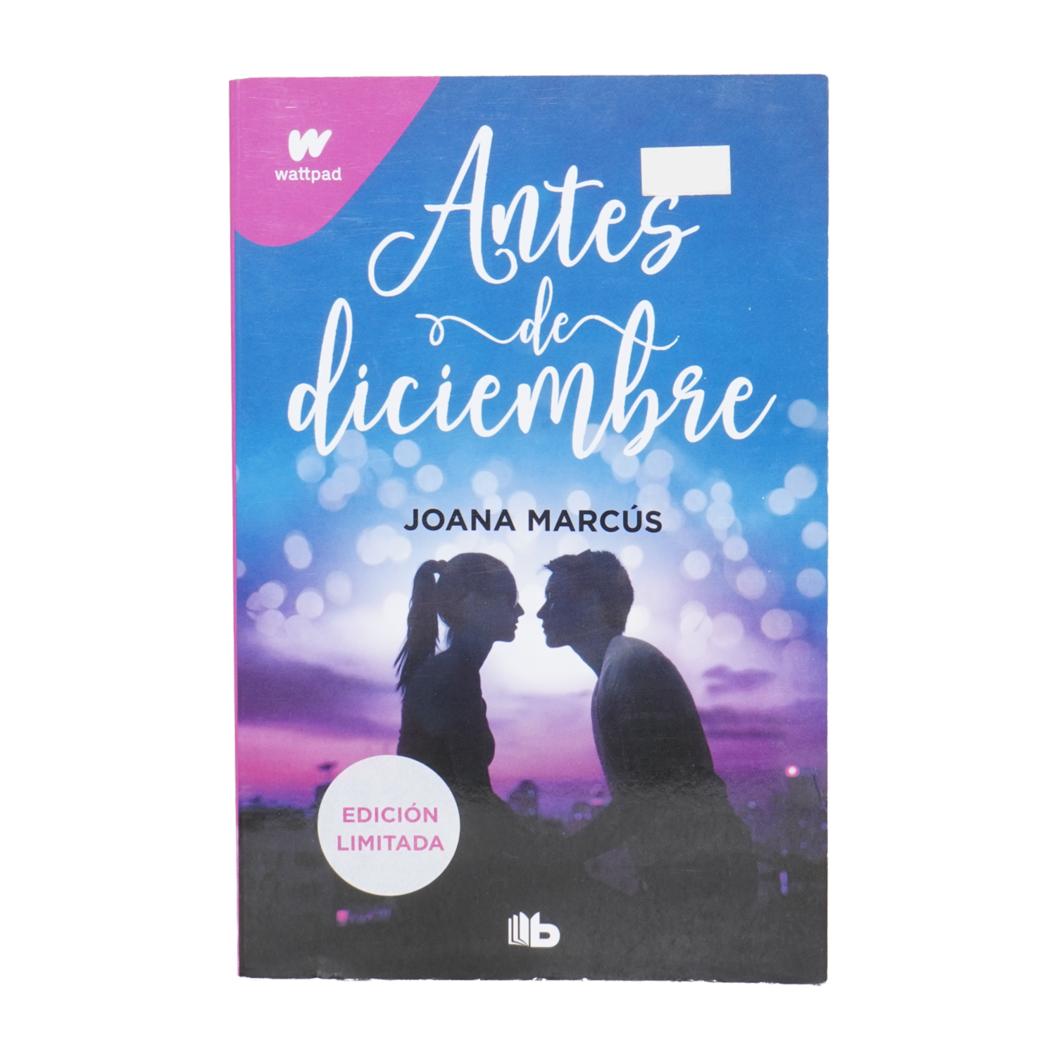 Libro Antes De Diciembre MR.BOOKS 496 Páginas
