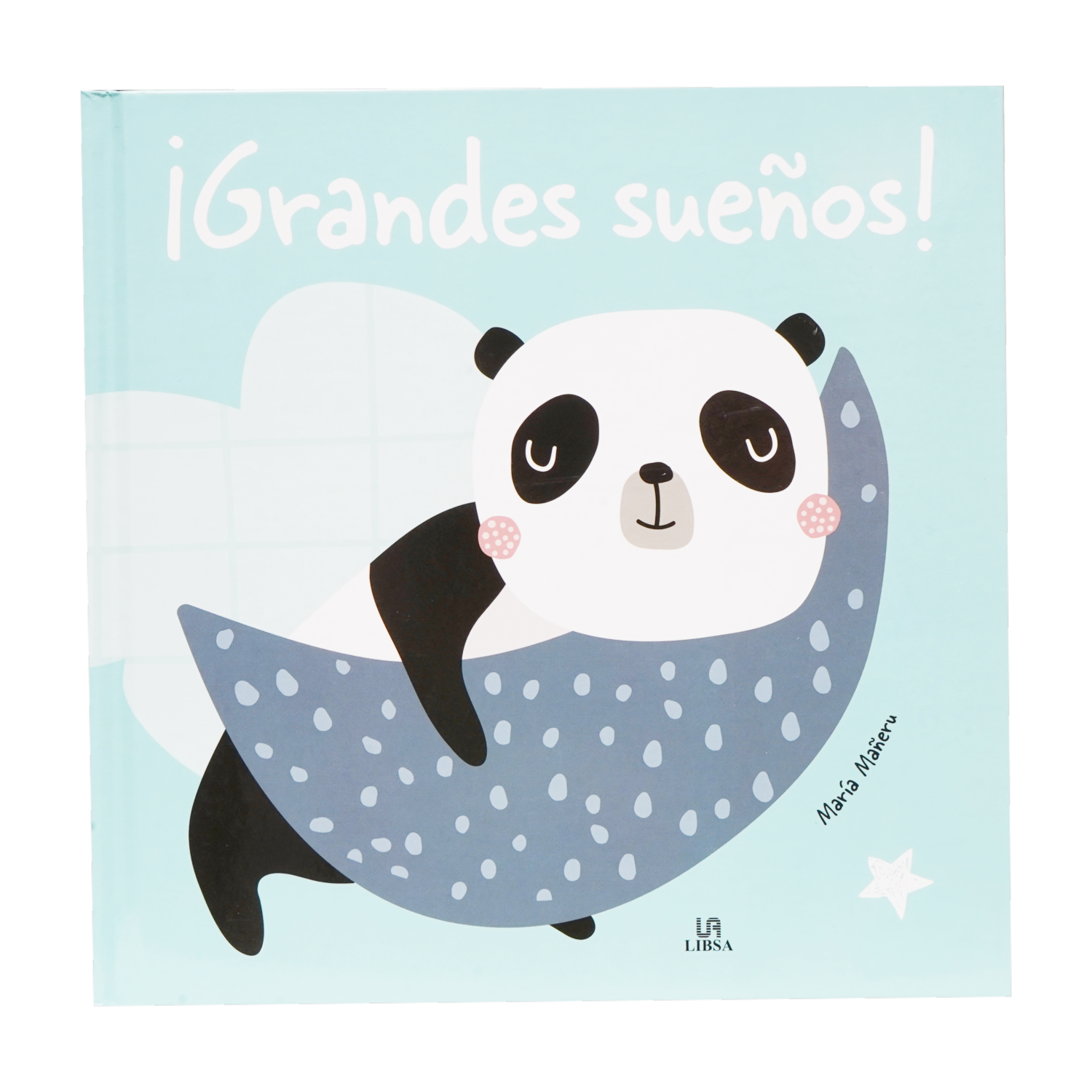 Libro Grandes Sueños LIBSA 28 Páginas