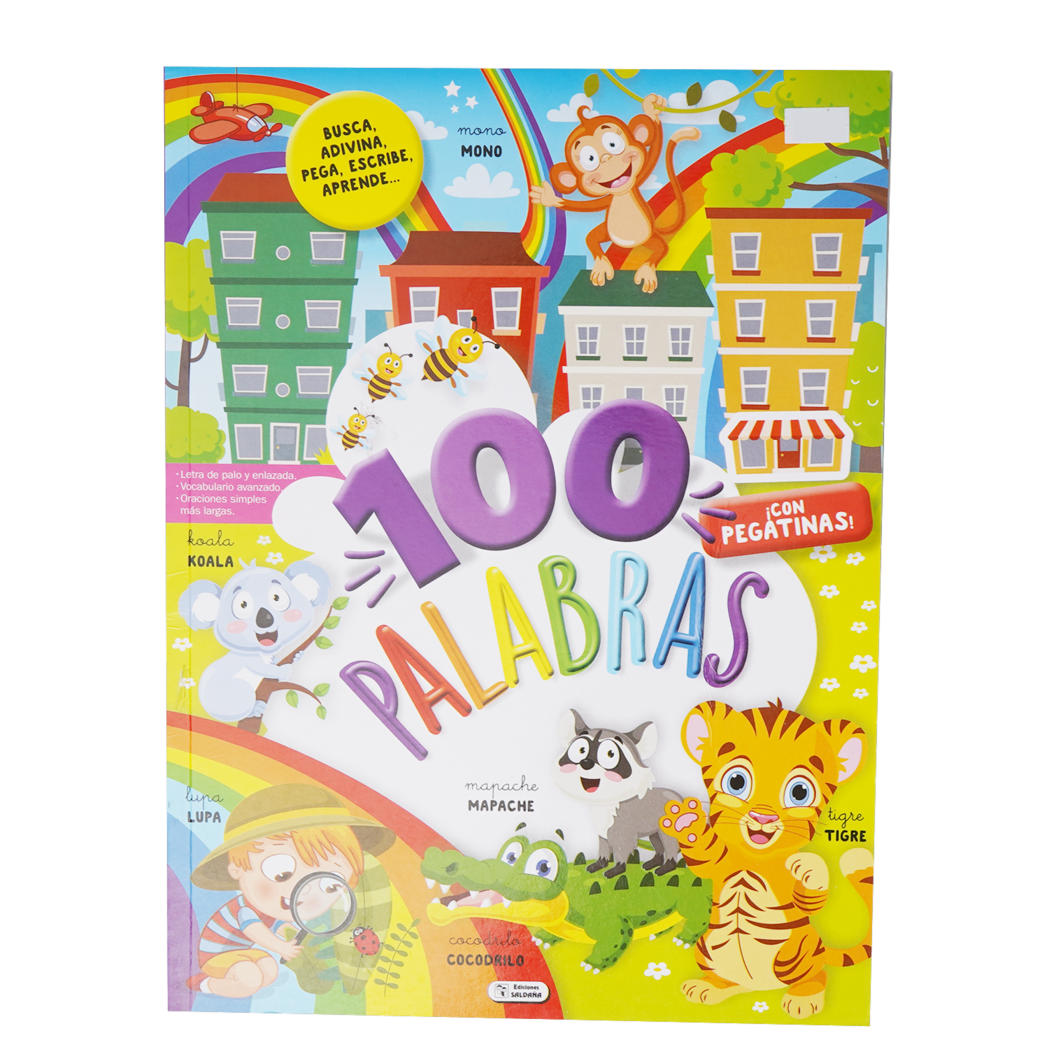 Libro 100 Palabras SALDAÑA 64 Páginas