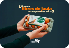 supermaxi-recetas-108