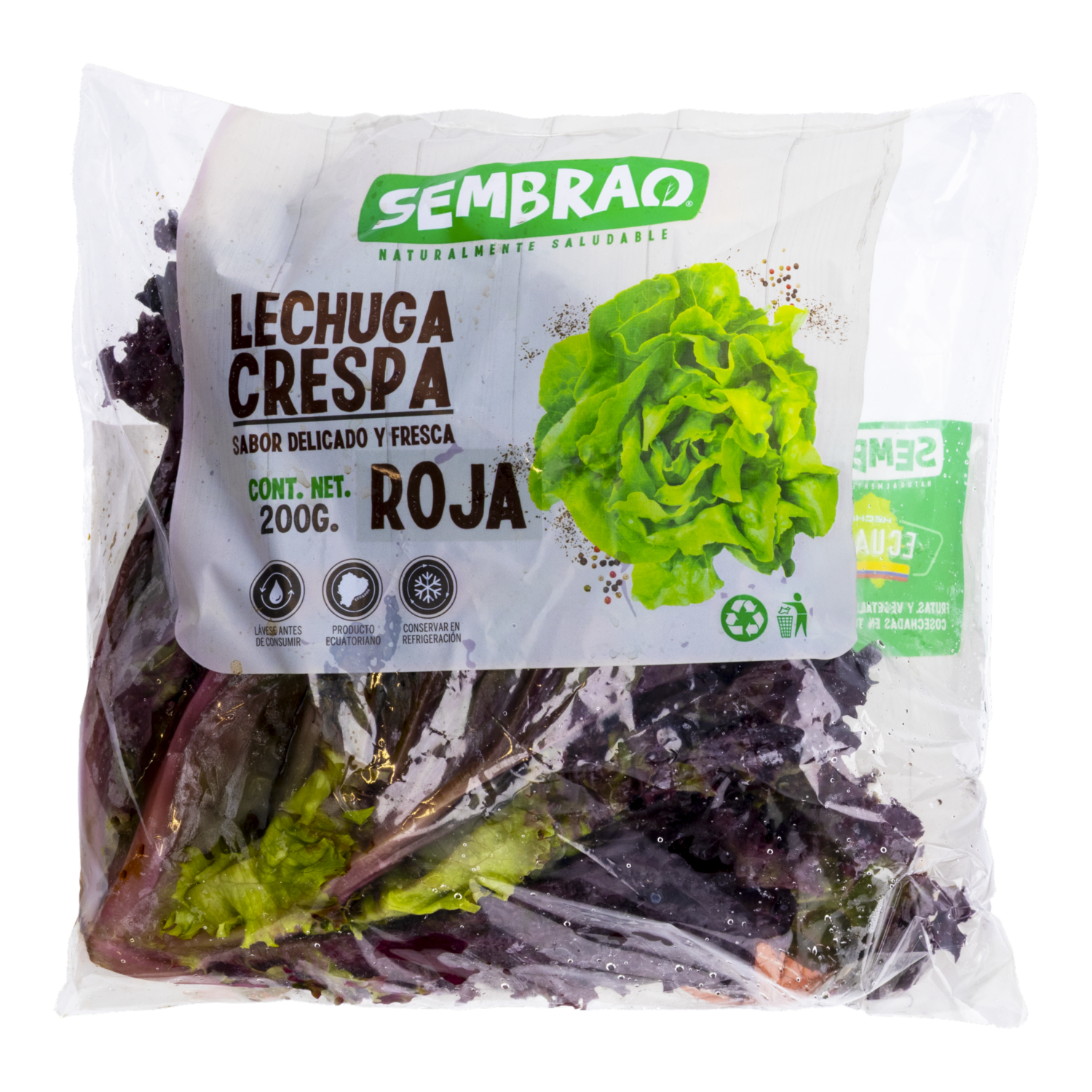 Lechuga Roja Crespa SEMBRAO 200 G