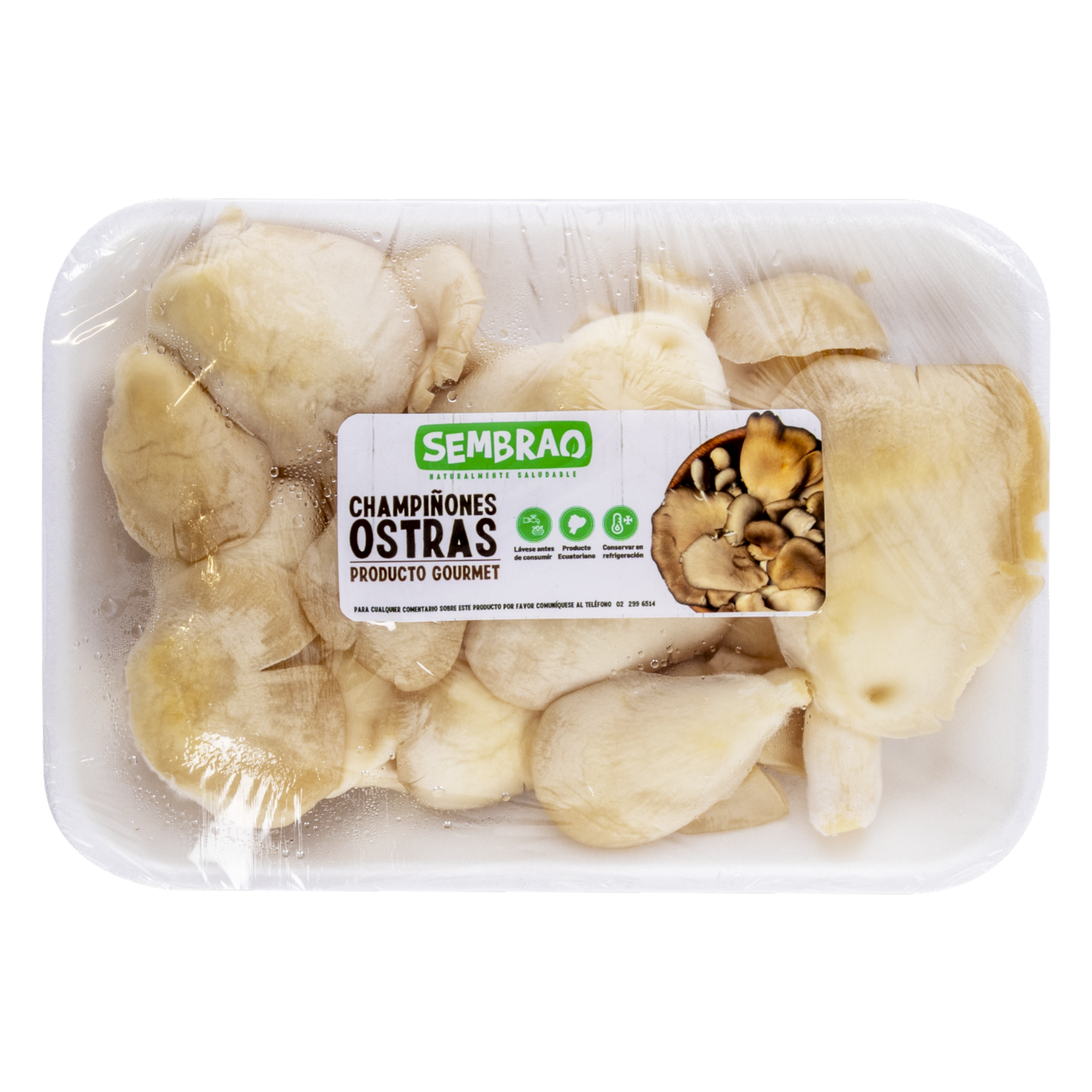 Champiñones Ostra SEMBRAO 150 G