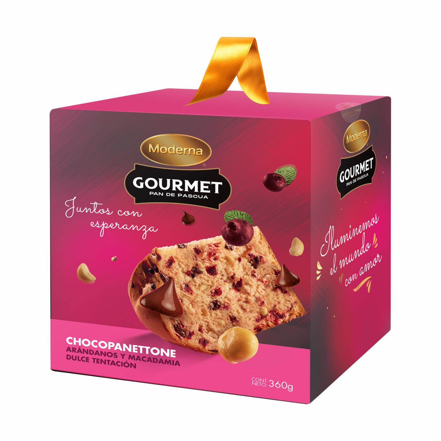Panettone Arándano MODERNA 360 G