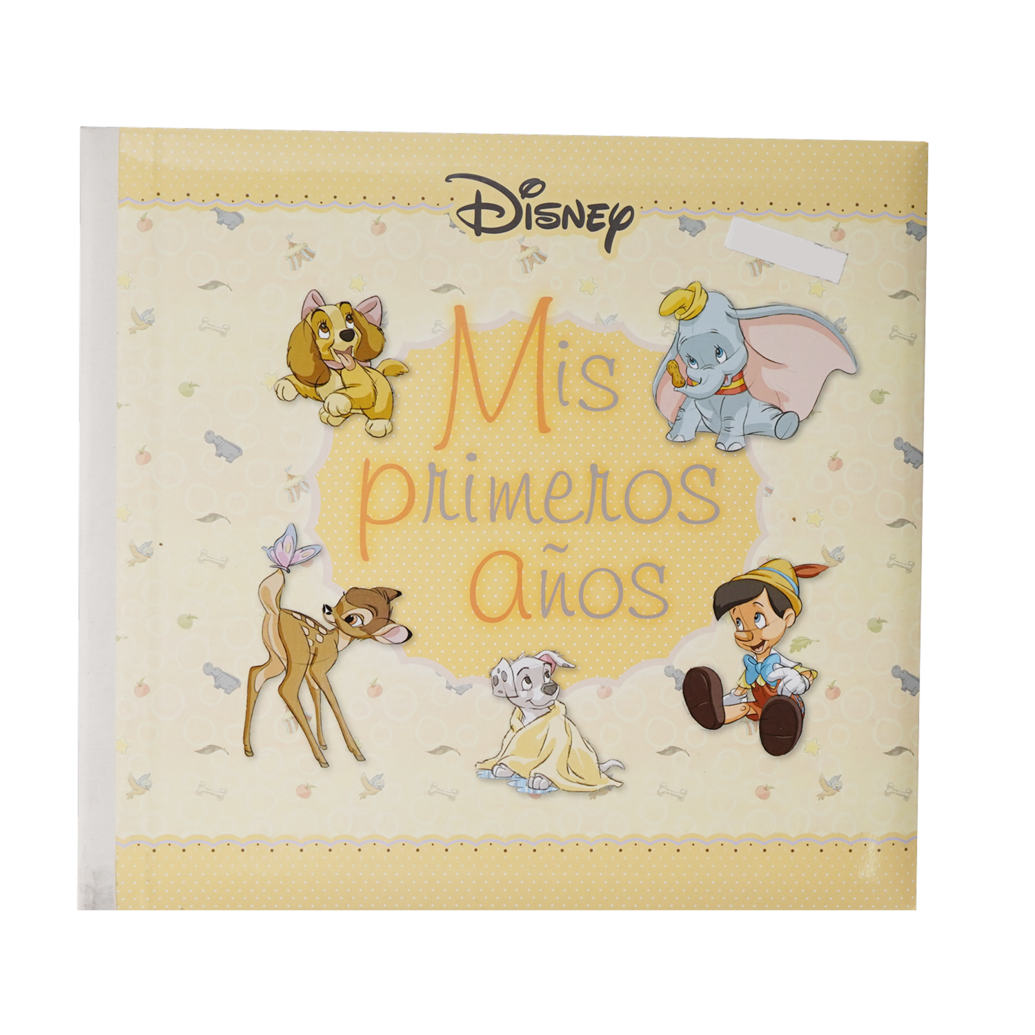 Libro Mis Primeros Años MR.BOOKS 25 Páginas